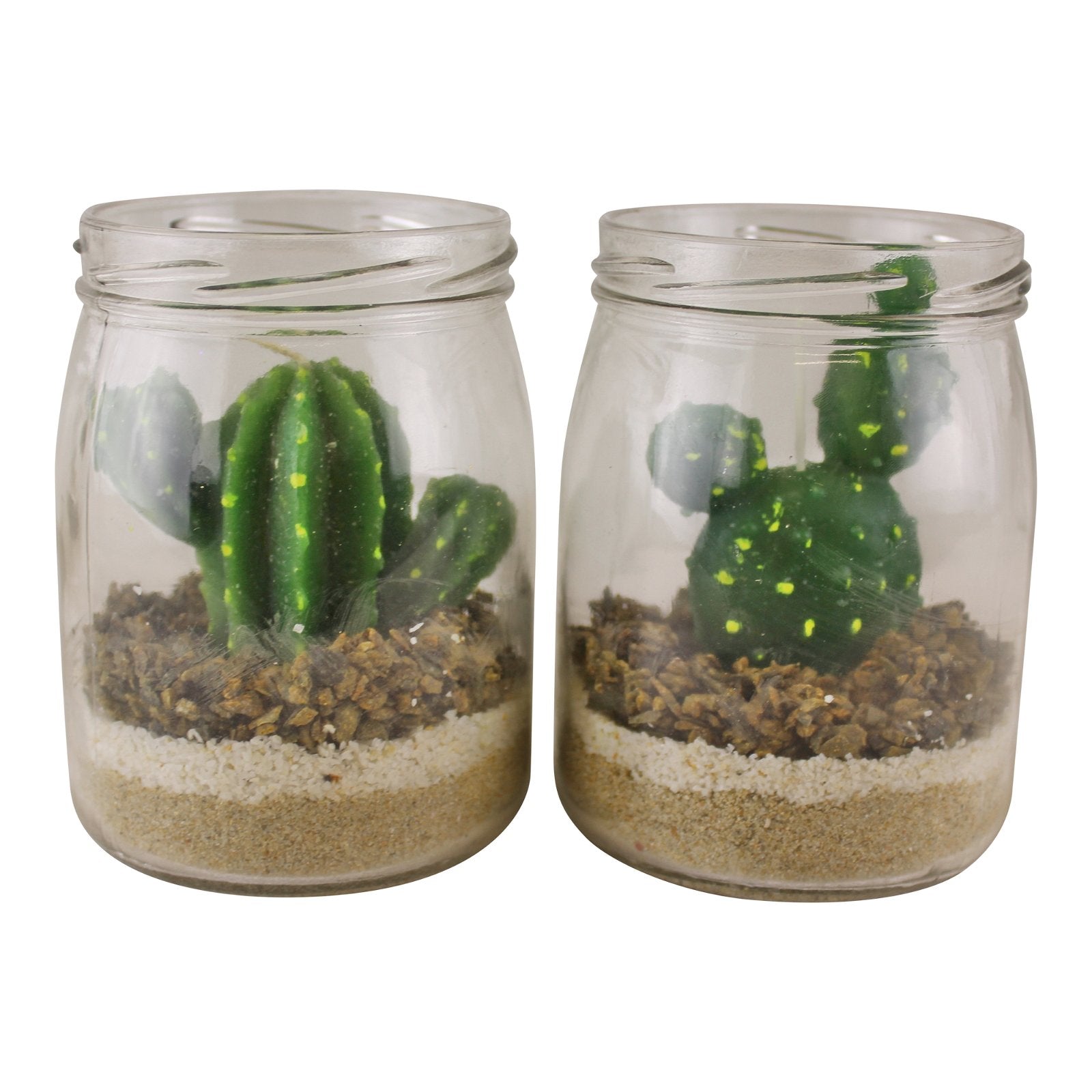 Set of 2 Cacti Tea Lights in Glass Jars