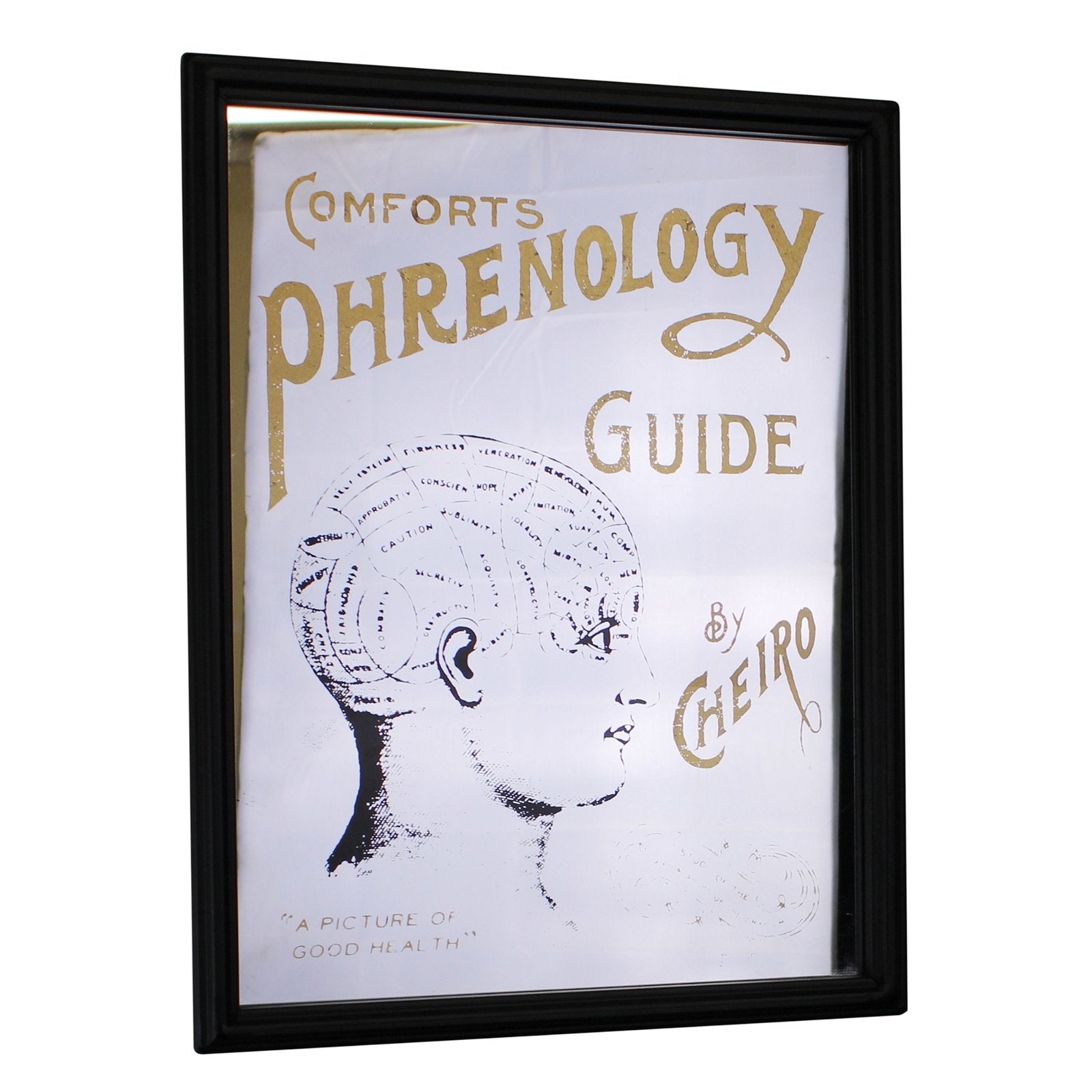 Retro Mirrored Wall Sign, Phrenology